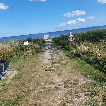 Paradise Near *